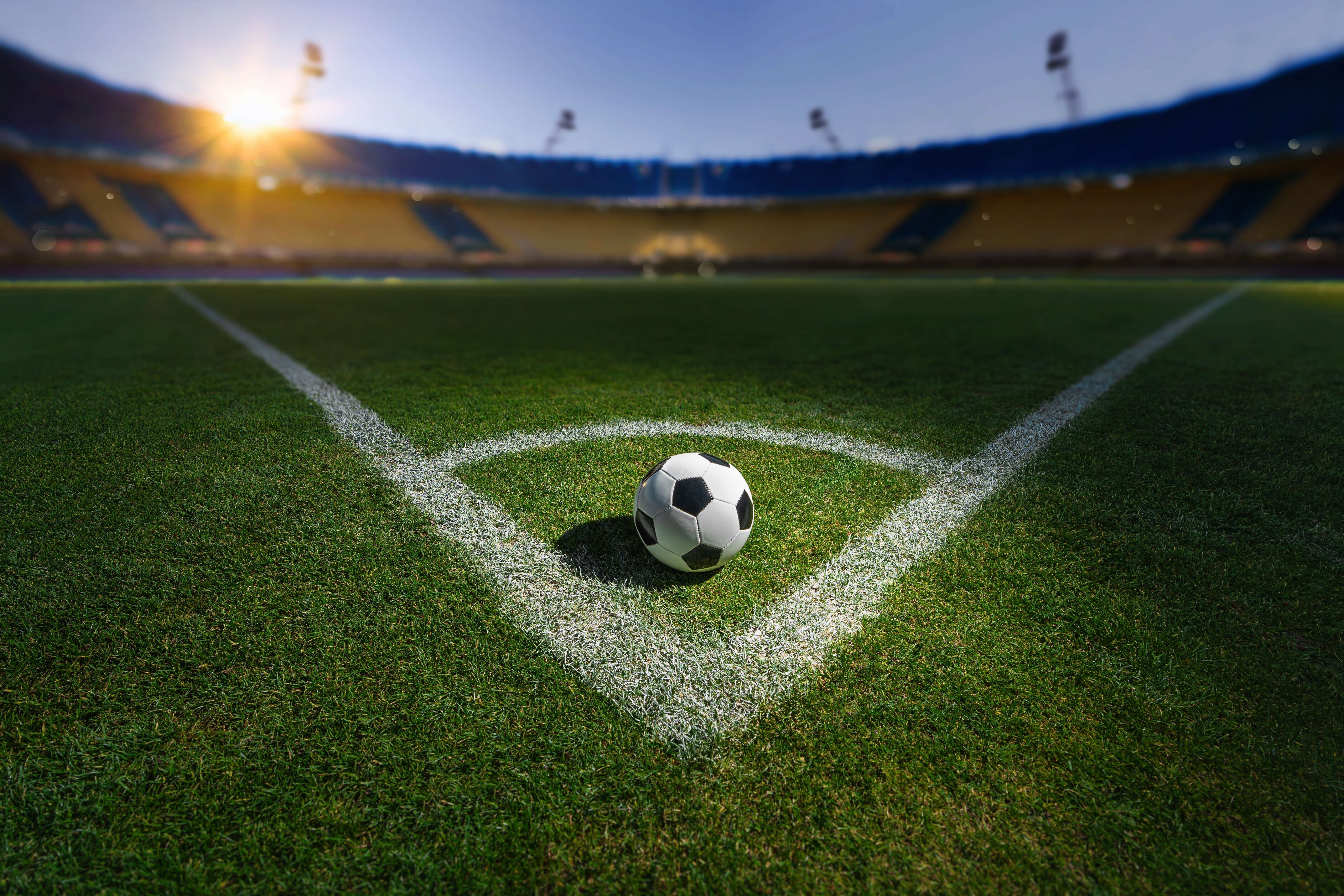 Soccer Ball in Field